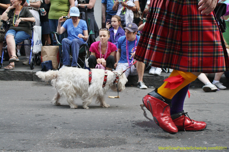 Mystic-Krewe-of-Barkus-JR-2011-0140
