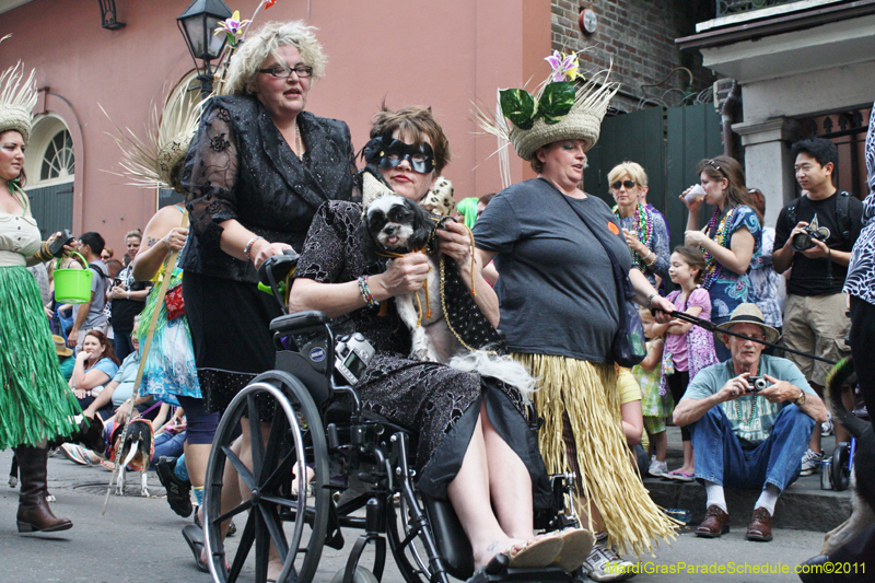 Mystic-Krewe-of-Barkus-JR-2011-0142