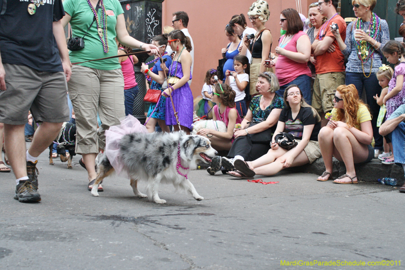 Mystic-Krewe-of-Barkus-JR-2011-0144