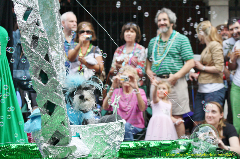 Mystic-Krewe-of-Barkus-JR-2011-0192