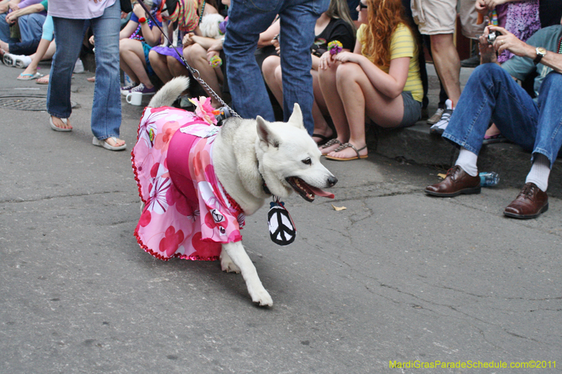 Mystic-Krewe-of-Barkus-JR-2011-0273