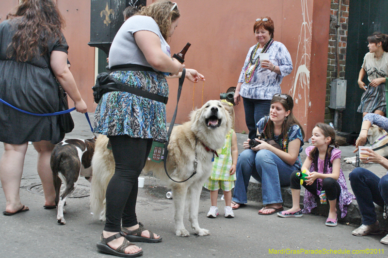 Mystic-Krewe-of-Barkus-JR-2011-0383