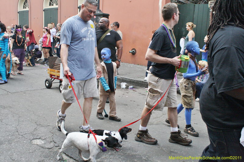 Mystic-Krewe-of-Barkus-JR-2011-0403