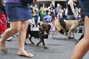 Mystic-Krewe-of-Barkus-JR-2011-0092