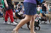 Mystic-Krewe-of-Barkus-JR-2011-0093