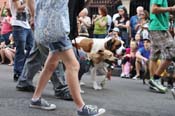 Mystic-Krewe-of-Barkus-JR-2011-0094