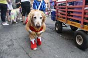 Mystic-Krewe-of-Barkus-JR-2011-0097