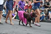Mystic-Krewe-of-Barkus-JR-2011-0100