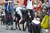 Mystic-Krewe-of-Barkus-JR-2011-0102