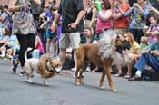 Mystic-Krewe-of-Barkus-JR-2011-0107