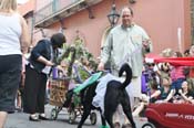 Mystic-Krewe-of-Barkus-JR-2011-0109
