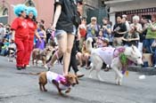 Mystic-Krewe-of-Barkus-JR-2011-0115