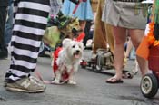 Mystic-Krewe-of-Barkus-JR-2011-0121