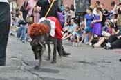 Mystic-Krewe-of-Barkus-JR-2011-0123