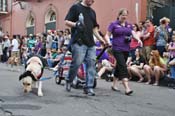 Mystic-Krewe-of-Barkus-JR-2011-0124