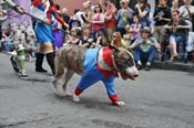 Mystic-Krewe-of-Barkus-JR-2011-0128