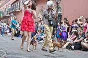 Mystic-Krewe-of-Barkus-JR-2011-0130