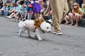 Mystic-Krewe-of-Barkus-JR-2011-0136
