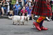 Mystic-Krewe-of-Barkus-JR-2011-0140