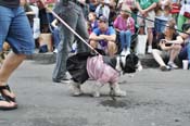 Mystic-Krewe-of-Barkus-JR-2011-0150