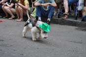 Mystic-Krewe-of-Barkus-JR-2011-0166