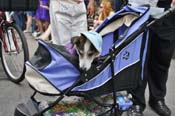Mystic-Krewe-of-Barkus-JR-2011-0170