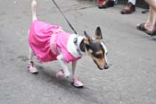 Mystic-Krewe-of-Barkus-JR-2011-0316