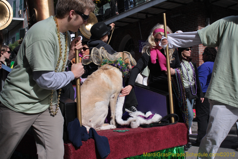 Mystic-Krewe-of-Barkus-2012-0014