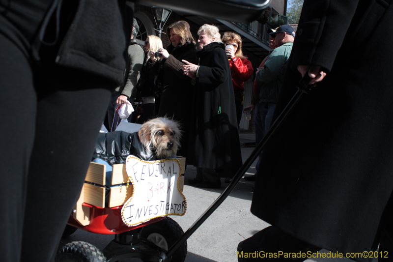 Mystic-Krewe-of-Barkus-2012-0020