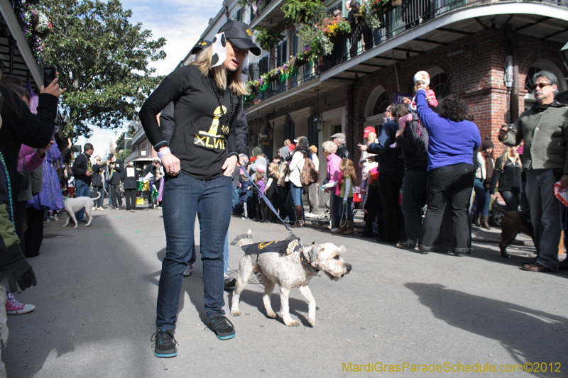 Mystic-Krewe-of-Barkus-2012-0030