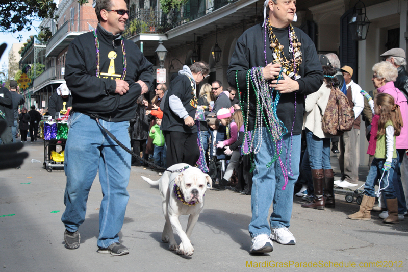 Mystic-Krewe-of-Barkus-2012-0032