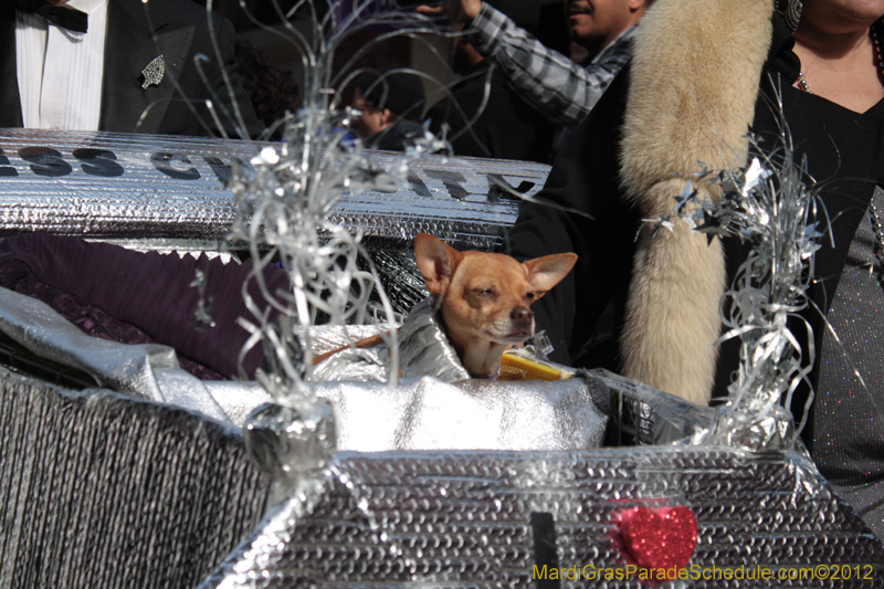 Mystic-Krewe-of-Barkus-2012-0036