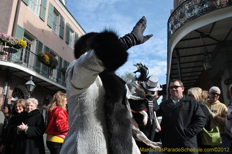 Mystic-Krewe-of-Barkus-2012-0037