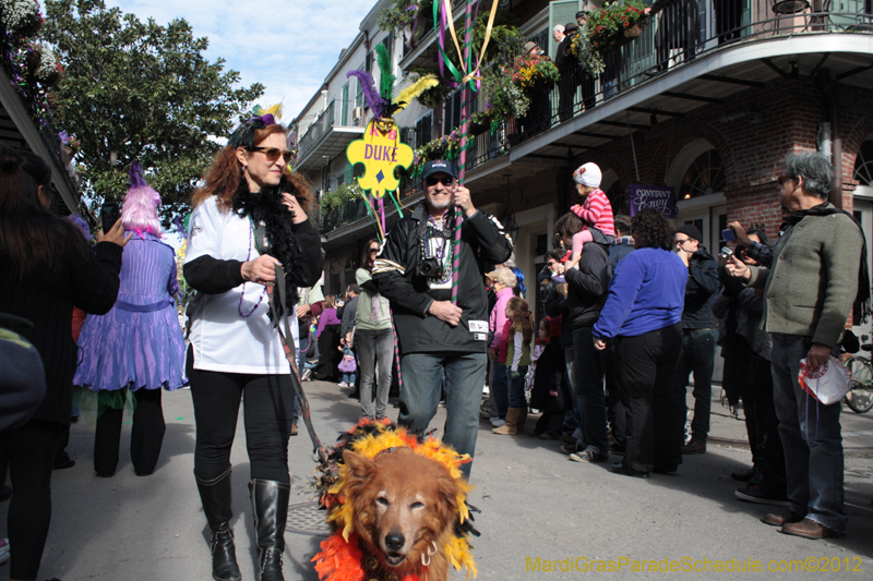 Mystic-Krewe-of-Barkus-2012-0038