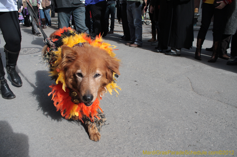 Mystic-Krewe-of-Barkus-2012-0039