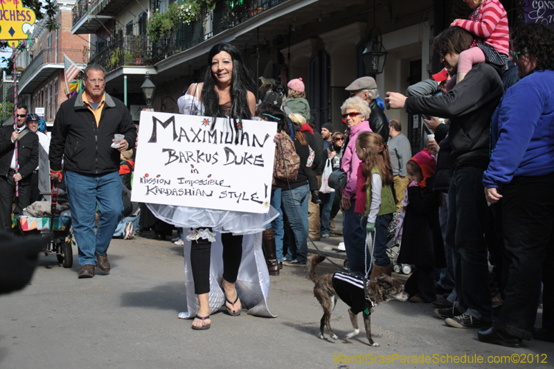 Mystic-Krewe-of-Barkus-2012-0041