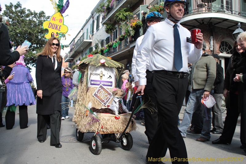Mystic-Krewe-of-Barkus-2012-0044