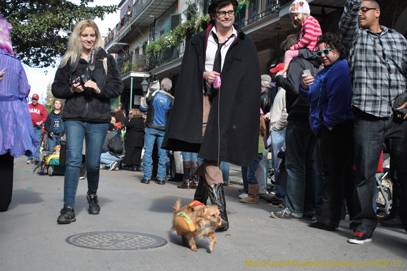 Mystic-Krewe-of-Barkus-2012-0046