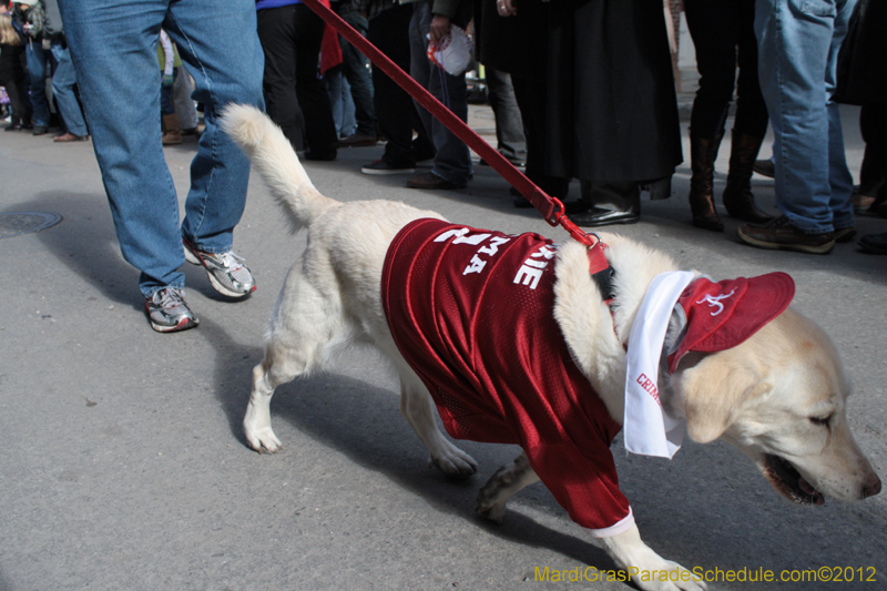 Mystic-Krewe-of-Barkus-2012-0048
