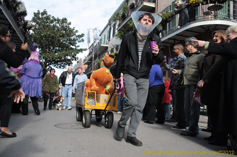 Mystic-Krewe-of-Barkus-2012-0049