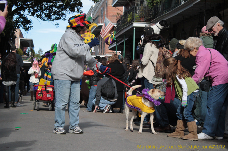 Mystic-Krewe-of-Barkus-2012-0051