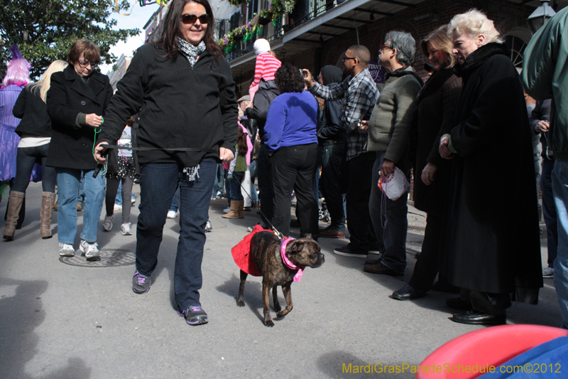 Mystic-Krewe-of-Barkus-2012-0056