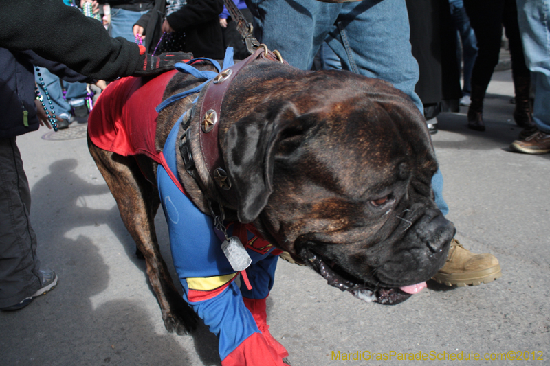 Mystic-Krewe-of-Barkus-2012-0057