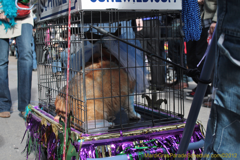 Mystic-Krewe-of-Barkus-2012-0058