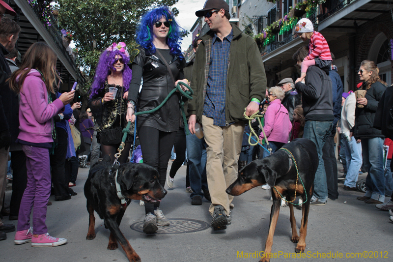 Mystic-Krewe-of-Barkus-2012-0060