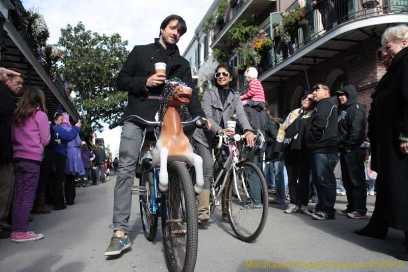 Mystic-Krewe-of-Barkus-2012-0062
