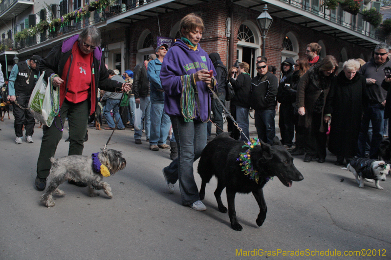 Mystic-Krewe-of-Barkus-2012-0072