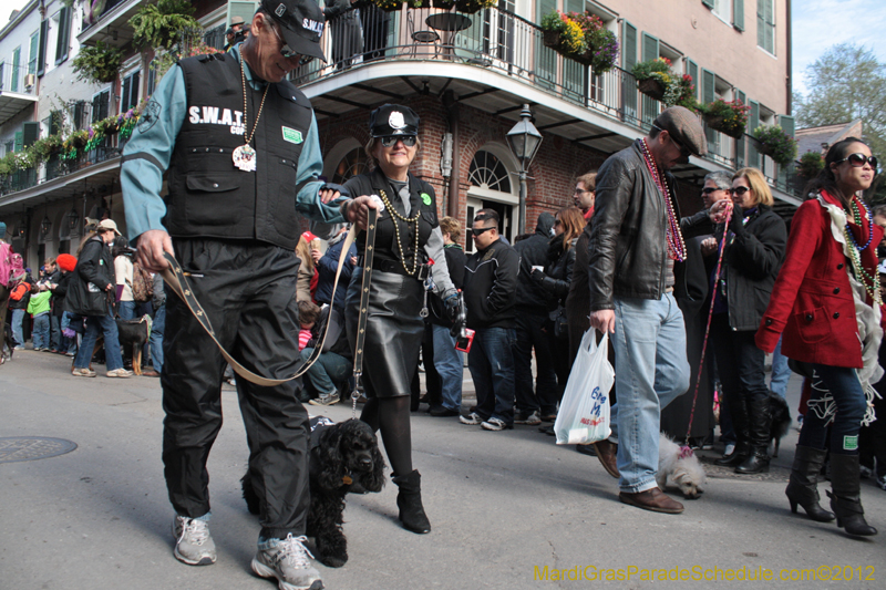 Mystic-Krewe-of-Barkus-2012-0074
