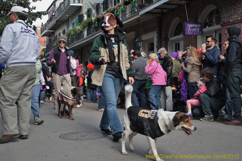 Mystic-Krewe-of-Barkus-2012-0075