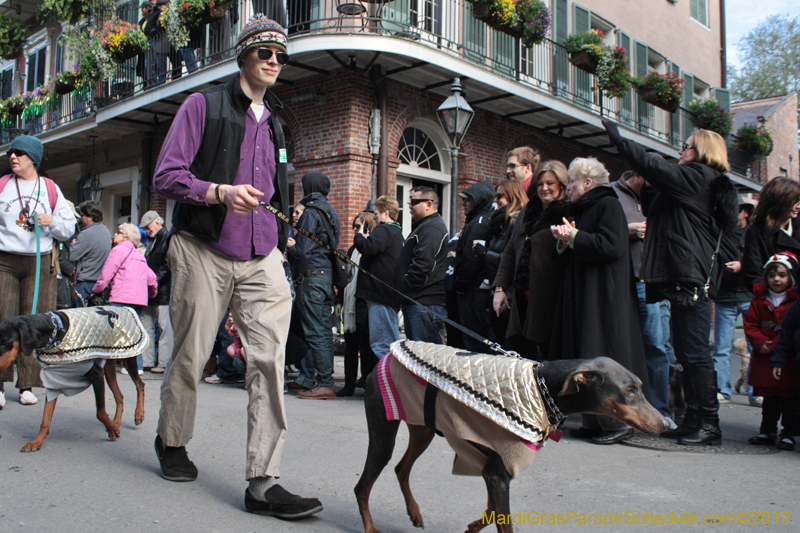 Mystic-Krewe-of-Barkus-2012-0076